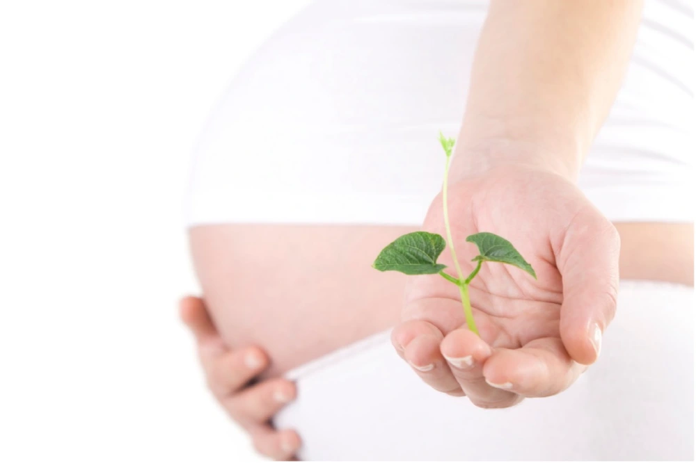 acupuncture and fertility benefits	